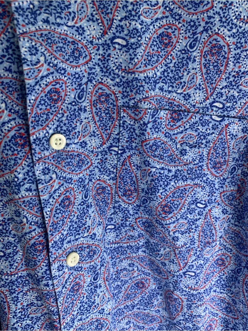 Daniel Cremieux Blue Paisley Button-Down Shirt with Orange Accents